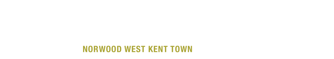 Sandy Wilkinson Logo